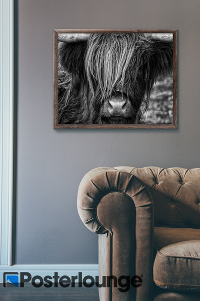 Wallart von Martina Cross bei Posterlounge